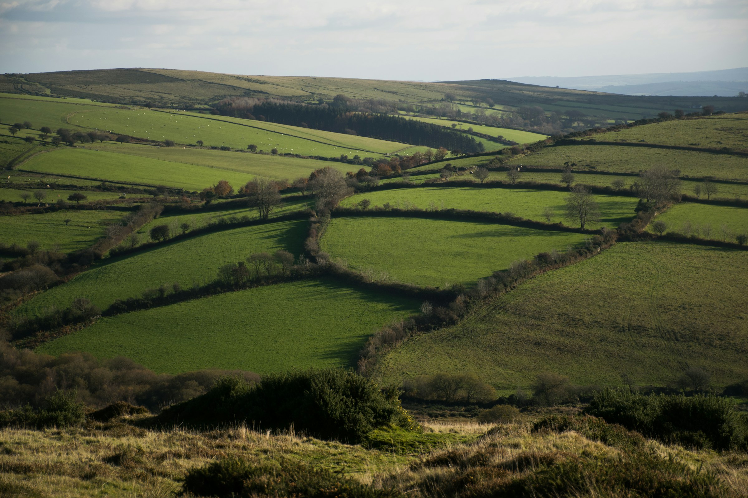 Rolling green fields and hedgerows in the English countryside